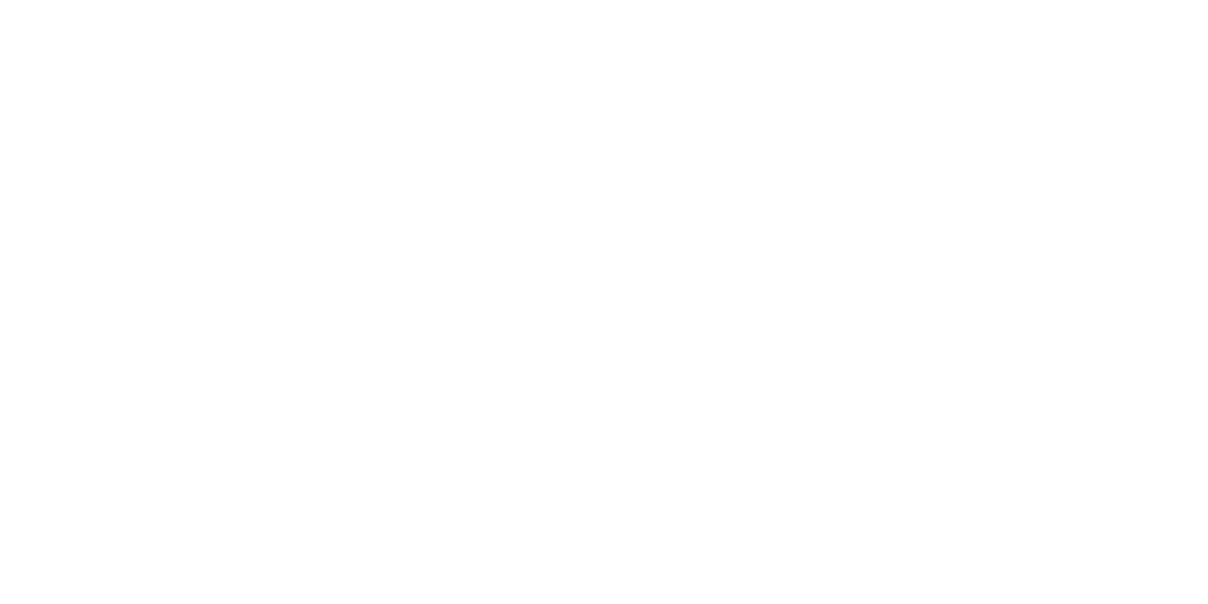 bestassetsoptions